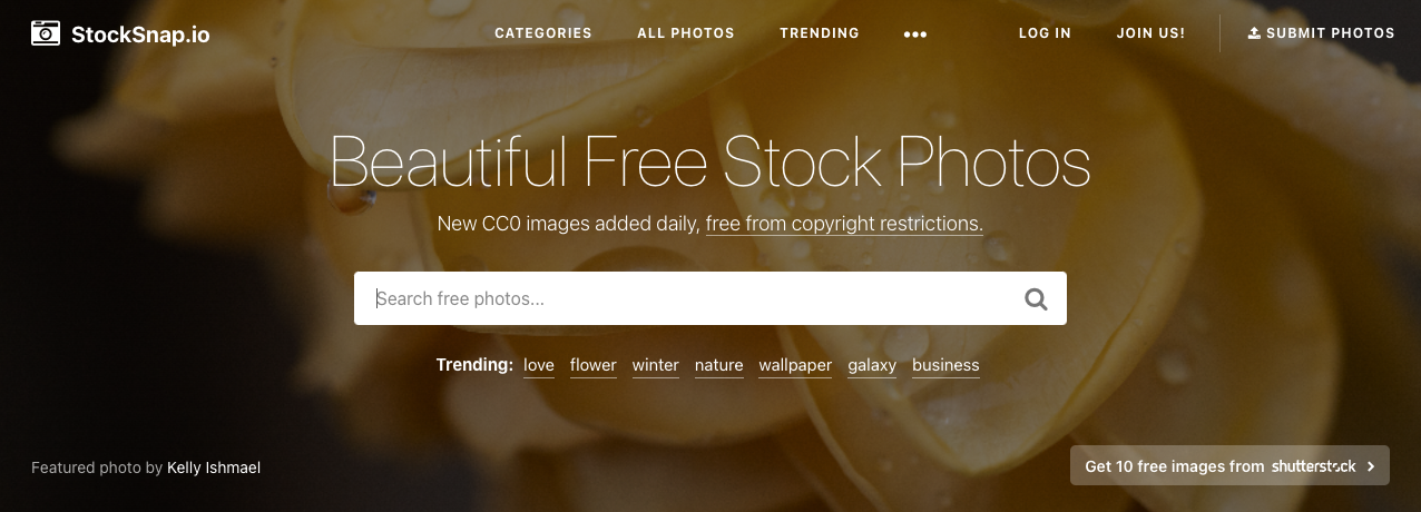 StockSnap Free Stock Photos